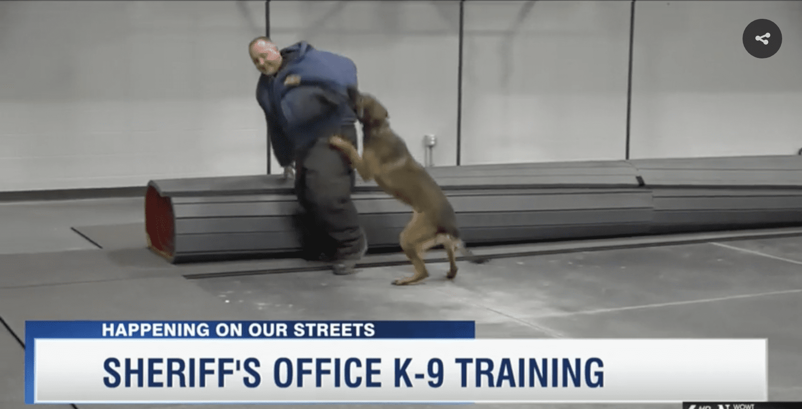 Inside look at Douglas County Sheriff's Department K-9 Unit Training